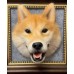 Head Pet Portraits Handmade 3D Dogs Wool Needle Felt Portraits with Wooden Frame | PetsMatter Solid&Bicolor Head Pet Portraits Handmade 3D Dogs Wool Needle Felt Portraits with Wooden Frame | PetsMatter Solid&Bicolor