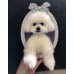 Head & Paws Pet Portraits Handmade 3D Cat Wool Needle Felt Portraits with Wooden Frame | PetsMatter Head & Paws Pet Portraits Handmade 3D Cat Wool Needle Felt Portraits with Wooden Frame | PetsMatter