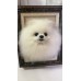 Head Pet Portraits Handmade 3D Dogs Wool Needle Felt Portraits with Wooden Frame | PetsMatter Solid&Bicolor Head Pet Portraits Handmade 3D Dogs Wool Needle Felt Portraits with Wooden Frame | PetsMatter Solid&Bicolor
