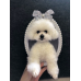 Head & Paws Pet Portraits Handmade 3D Cat Wool Needle Felt Portraits with Wooden Frame | PetsMatter Head & Paws Pet Portraits Handmade 3D Cat Wool Needle Felt Portraits with Wooden Frame | PetsMatter