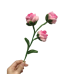 Exactly Same Rose Making Kits As Tiktok Live Streaming Fuzzy Pipe Cleaner Chenille Stems DIY Craft Supplies Exactly Same Rose Making Kits As Tiktok Live Streaming Fuzzy Pipe Cleaner Chenille Stems DIY Craft Supplies